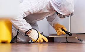 Best Termite Inspection and Treatment  in Eddystone, PA